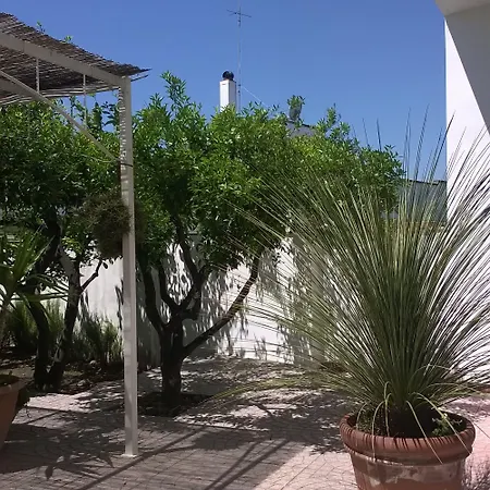Arcona Bed and breakfast Serrano